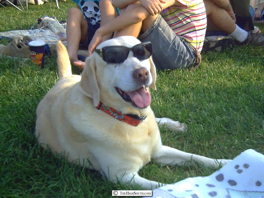 Groovin on the Green