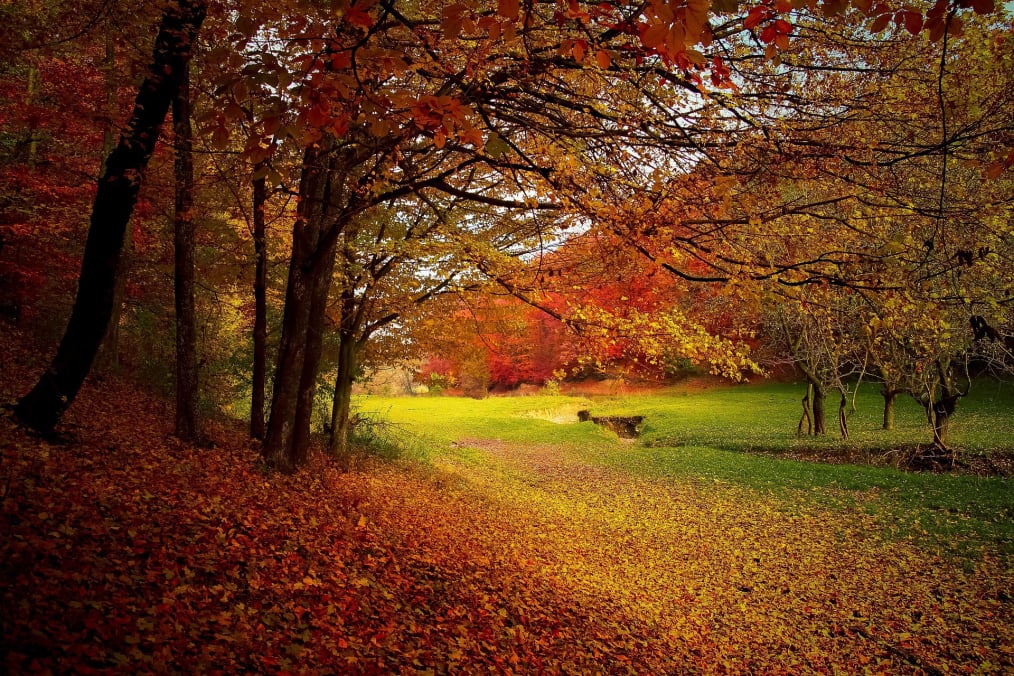 Fall Colors Cashiers NC